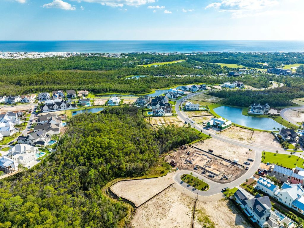 5 of 16 - Lot 201 Sundew Place, Watersound, FL