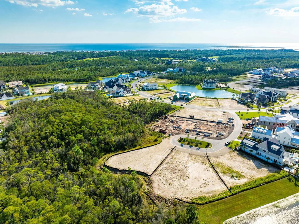 6 of 16 - Lot 201 Sundew Place, Watersound, FL
