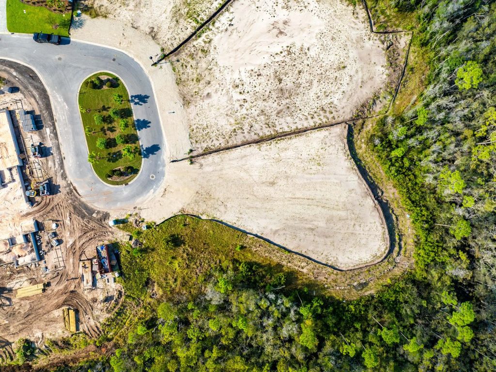 8 of 16 - Lot 201 Sundew Place, Watersound, FL