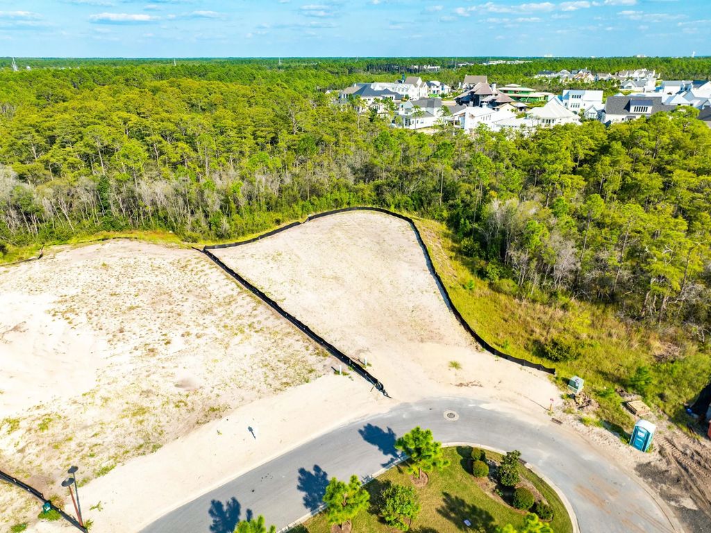 9 of 16 - Lot 201 Sundew Place, Watersound, FL