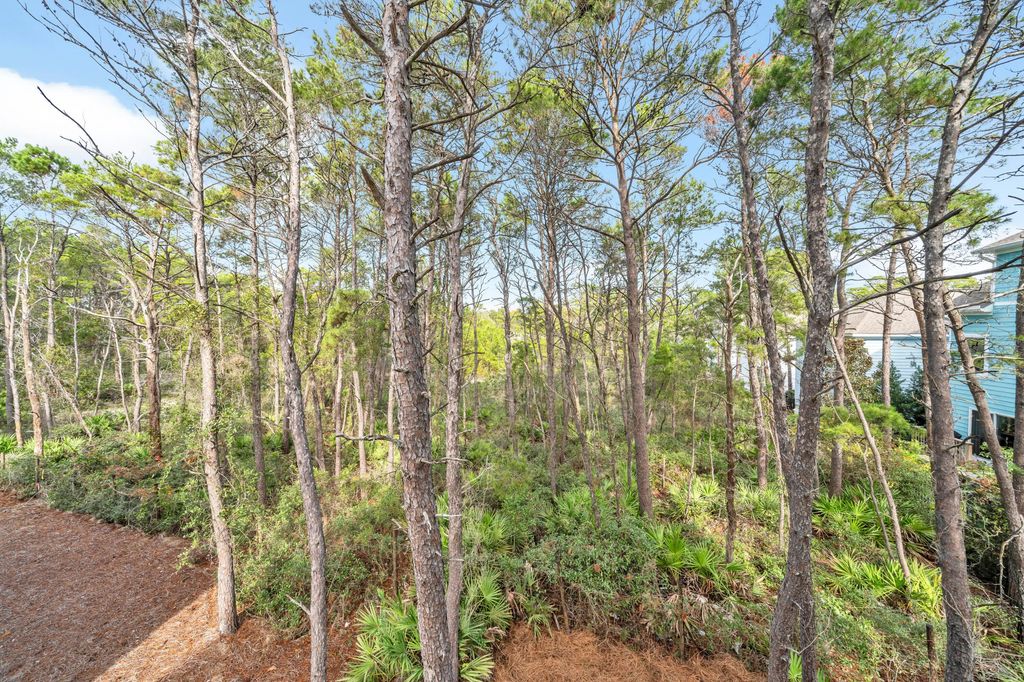 40 of 83 - 178 Valdare Lane, Inlet Beach, FL