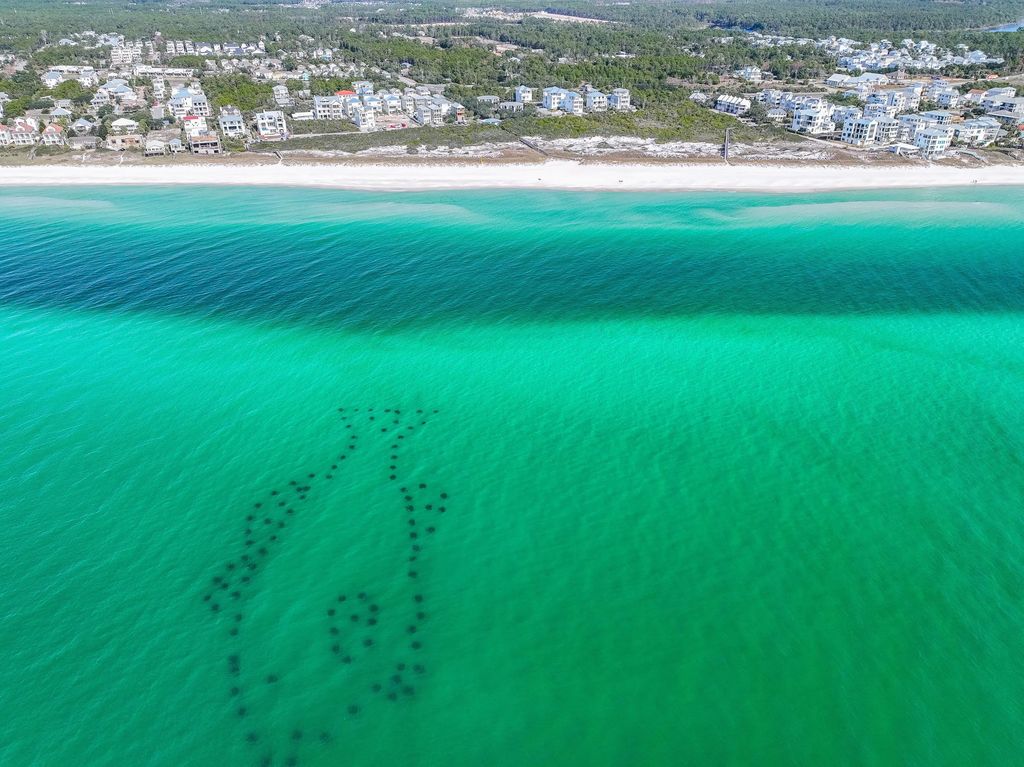 82 of 83 - 178 Valdare Lane, Inlet Beach, FL