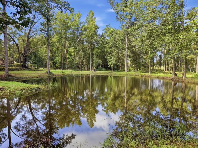 Photo of Listing #1012194