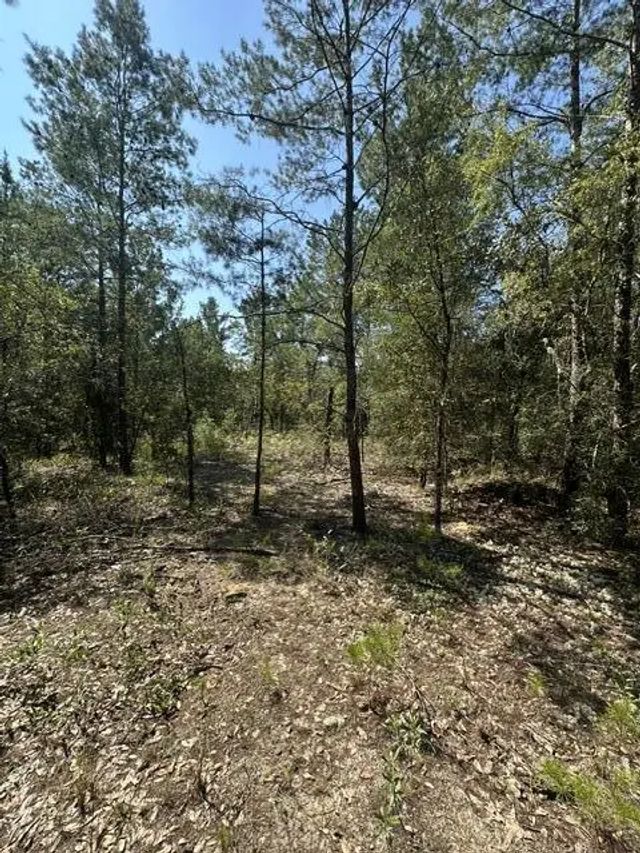 Photo of Listing #1012362
