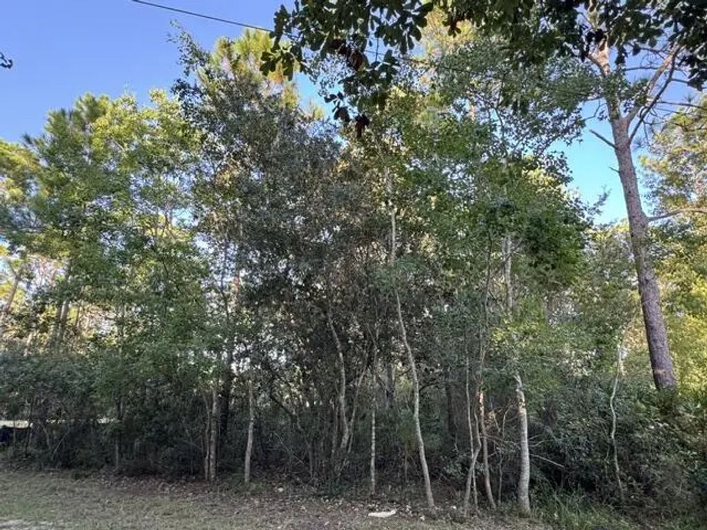 5 of 5 - Lots 10-11 Blk 42, Santa Rosa Beach, FL