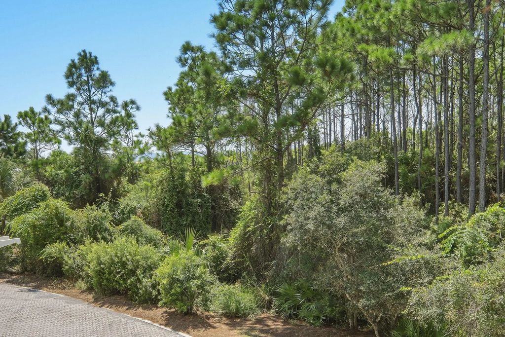 41 of 51 - 105 Park Row Lane, Santa Rosa Beach, FL