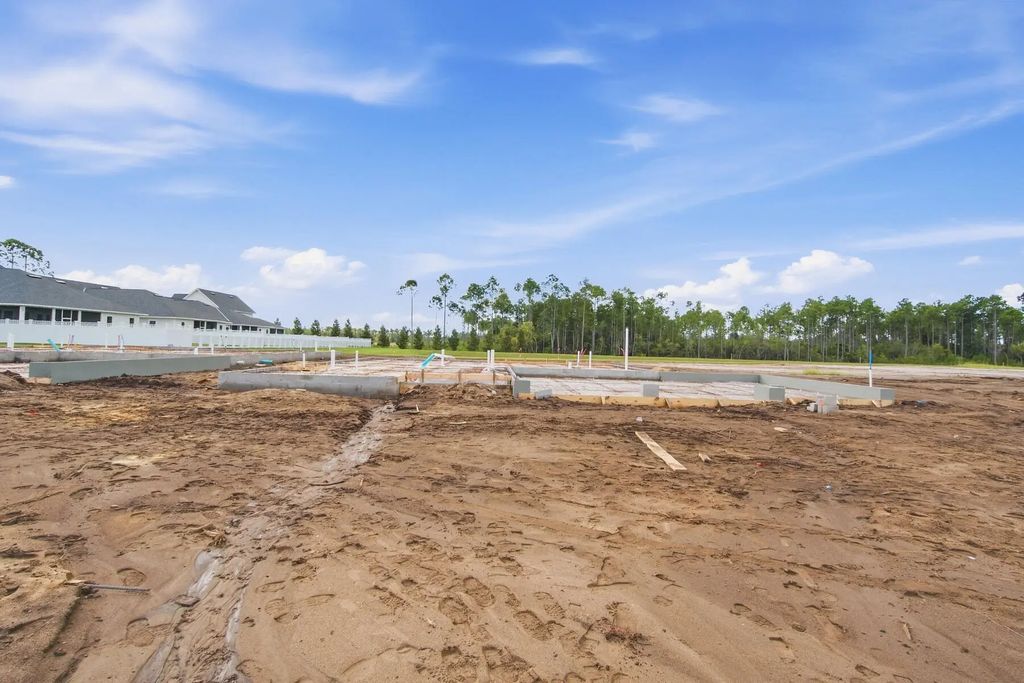 3 of 27 - 1109 Suwannee Drive Lot 6, Watersound, FL