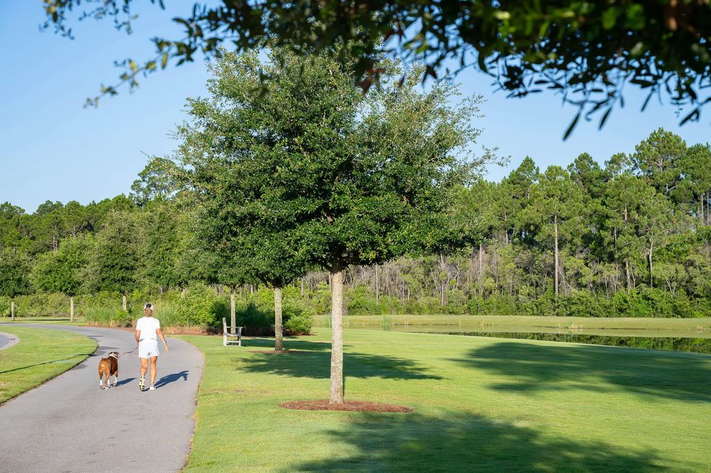 6 of 27 - 1109 Suwannee Drive Lot 6, Watersound, FL