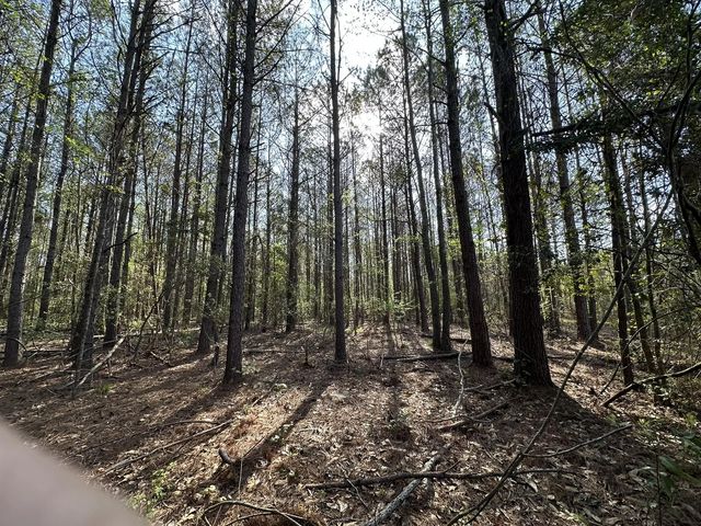 Photo of Listing #1012482