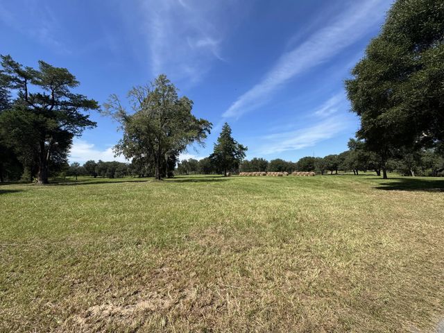Photo of Listing #1013504