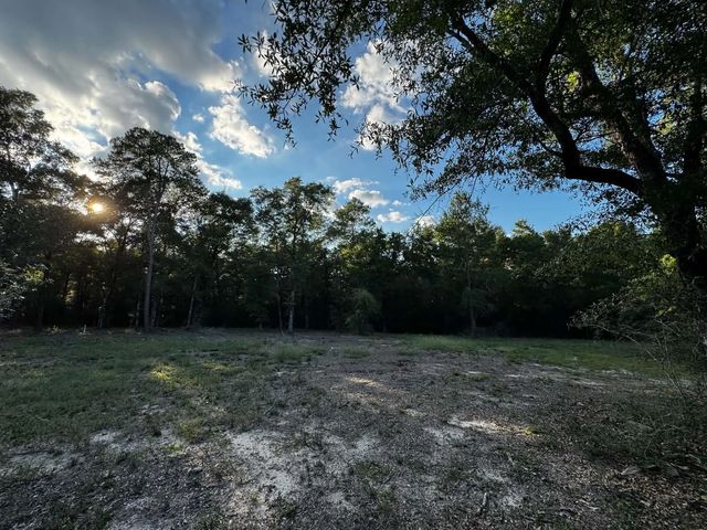 Photo of Listing #1012611