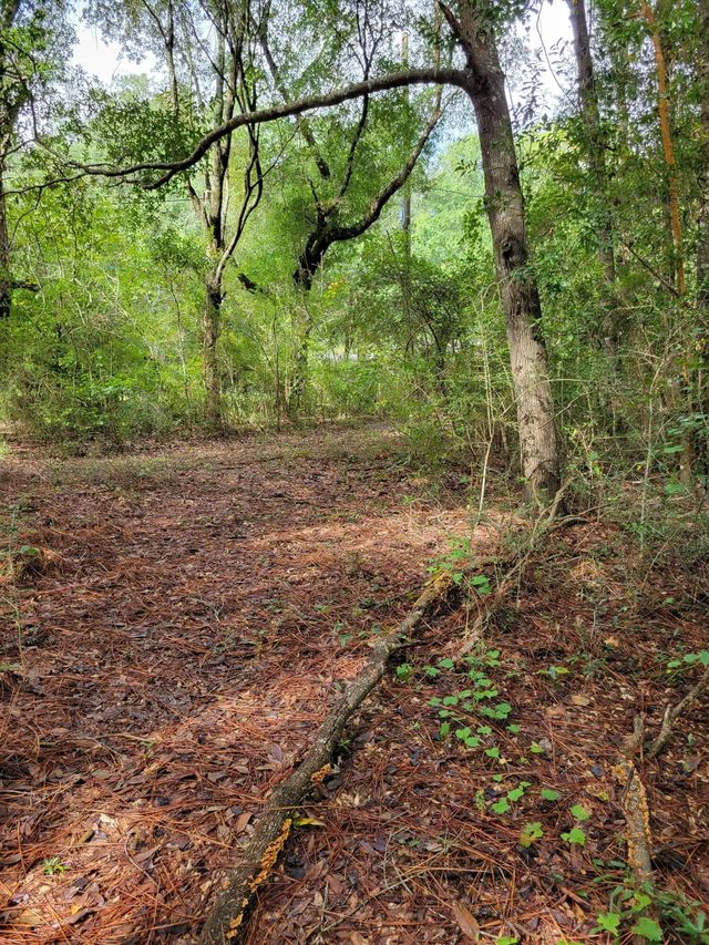 Photo of Listing #1013266