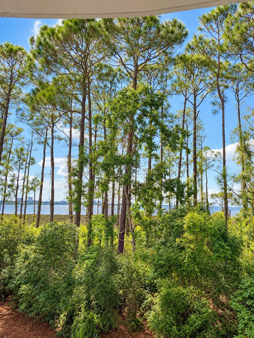 9700 Grand Sandestin Boulevard Unit 4112, Miramar Beach