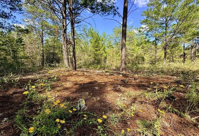Photo of Listing #1013814