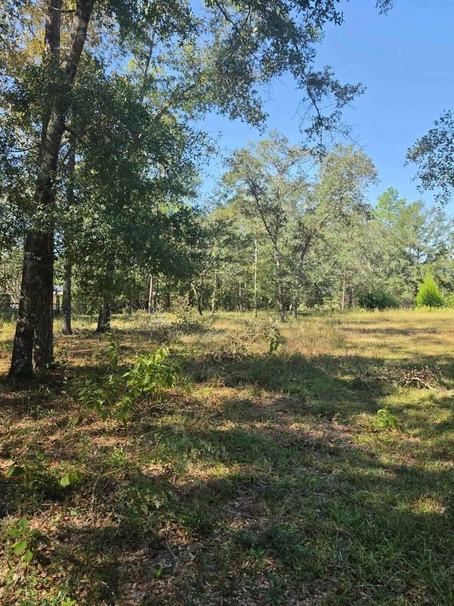 Photo of Listing #1013850