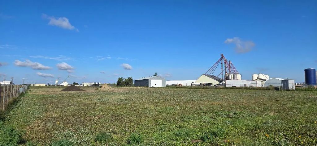 Maple Street, Vegreville