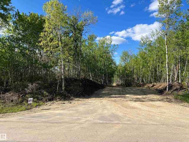Lot 4c 50450 Range Road 233, Rural Leduc County