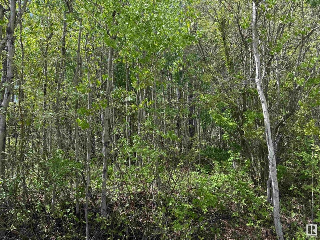 Lot 6 Baptiste Drive, Rural Athabasca County