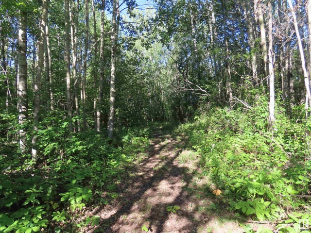 41 6004 Twp Road 534, Rural Parkland County