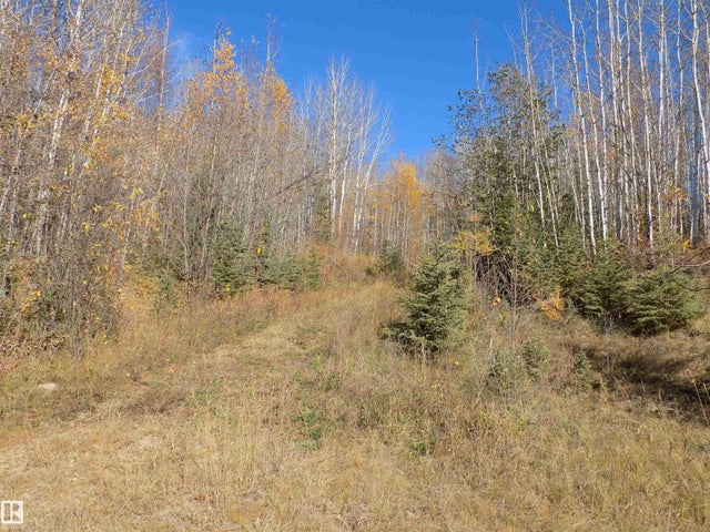 Twp 463a Rd, Rural Wetaskiwin County