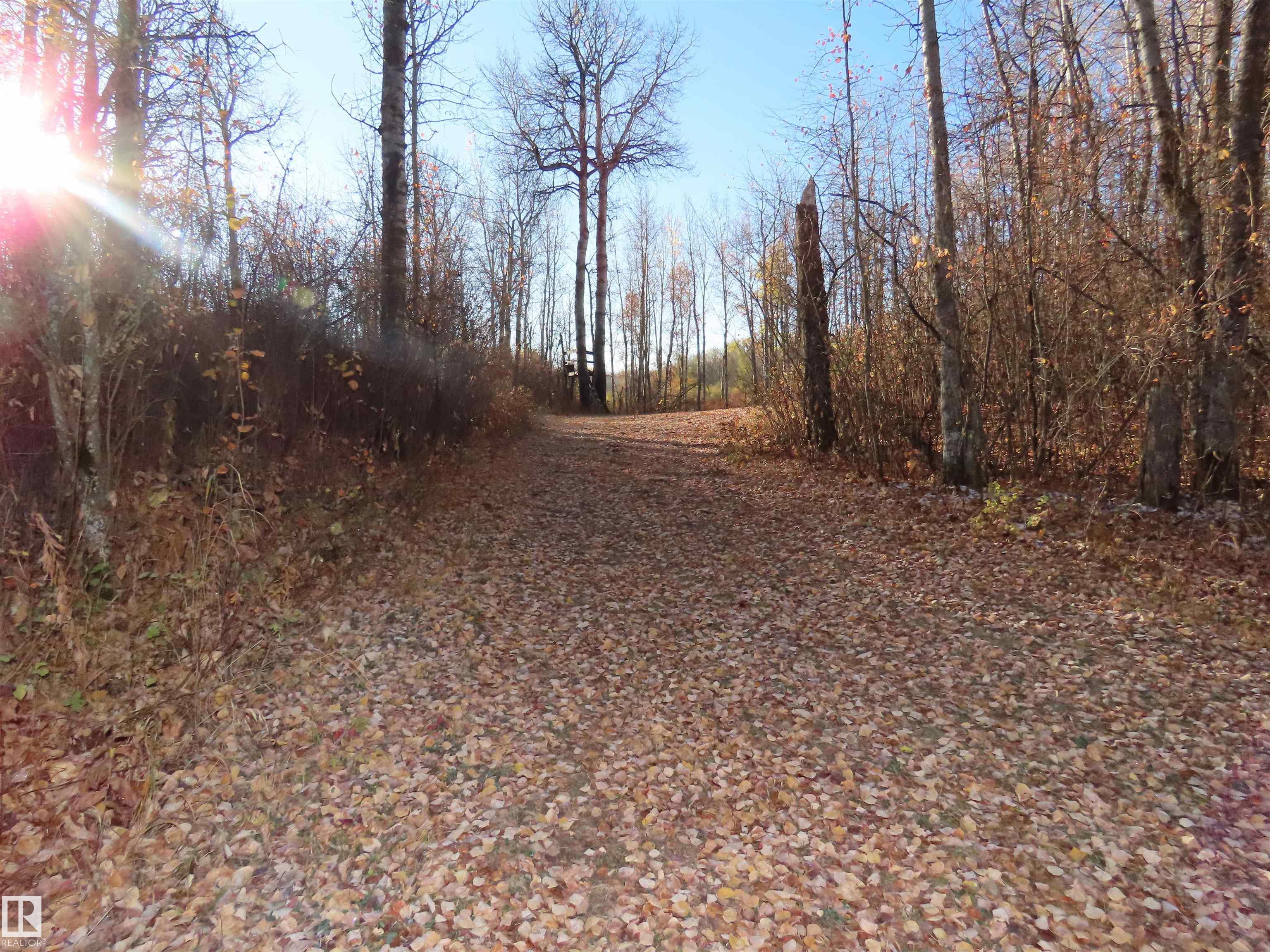 Photo of Listing #E4462131