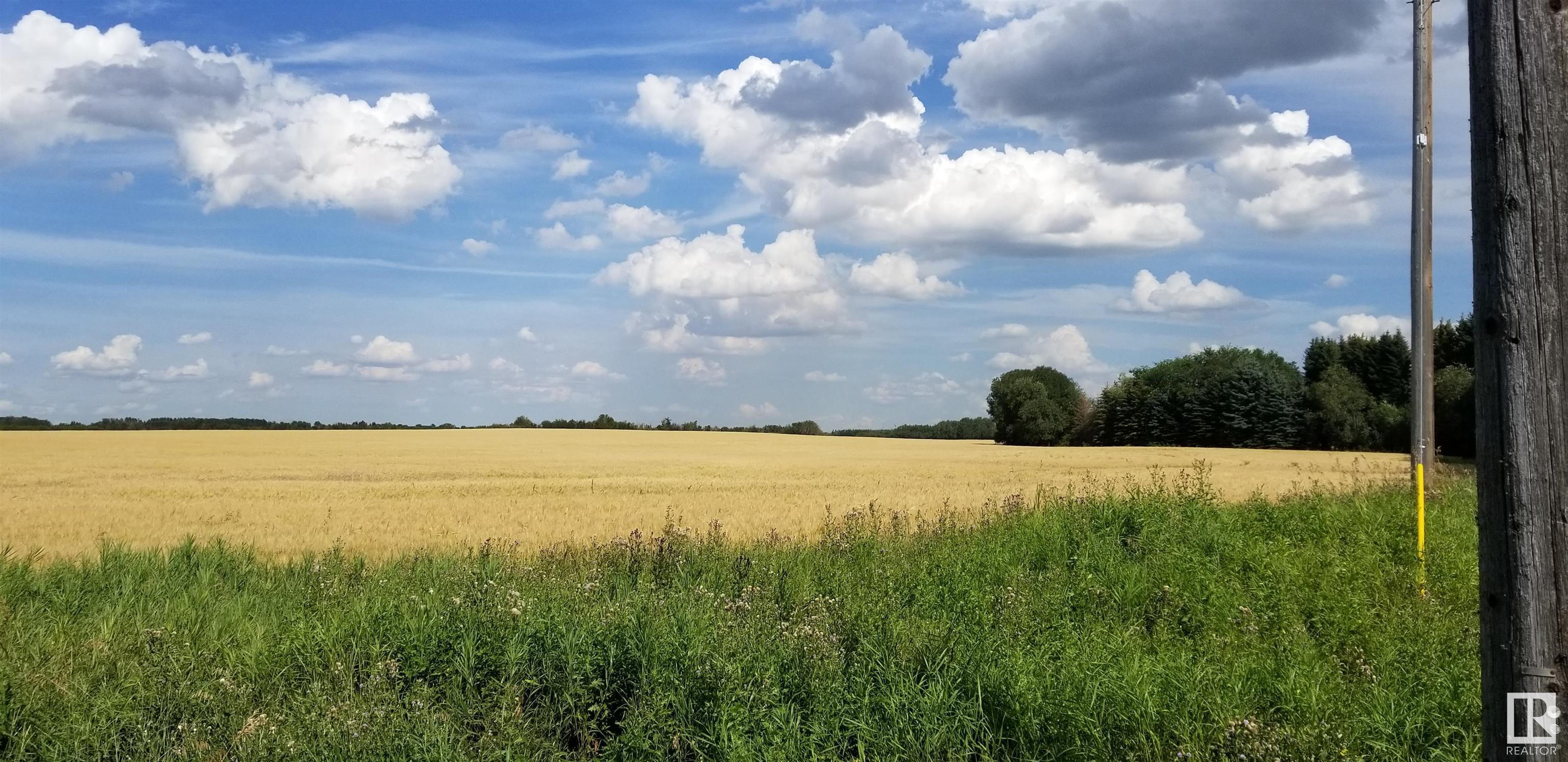 Photo of Listing #E4381949