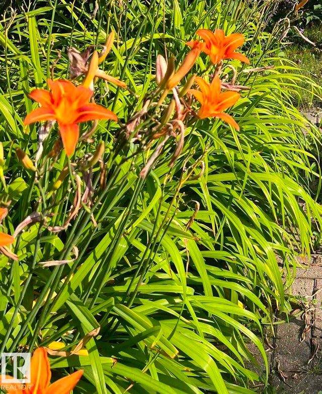 19 Lowe Avenue, Fort Saskatchewan