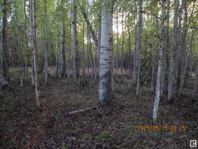 5606 51 Street, Niton Junction
