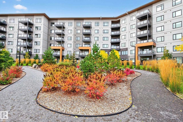 303 7463 May Common Nw, Edmonton