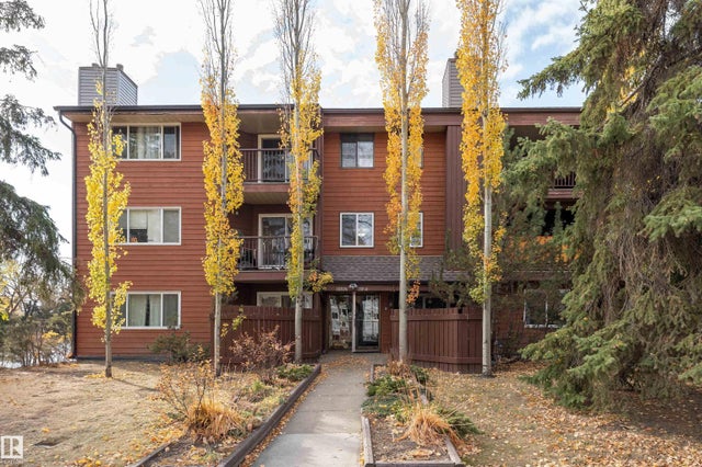 206 10826 113 Street Nw, Edmonton