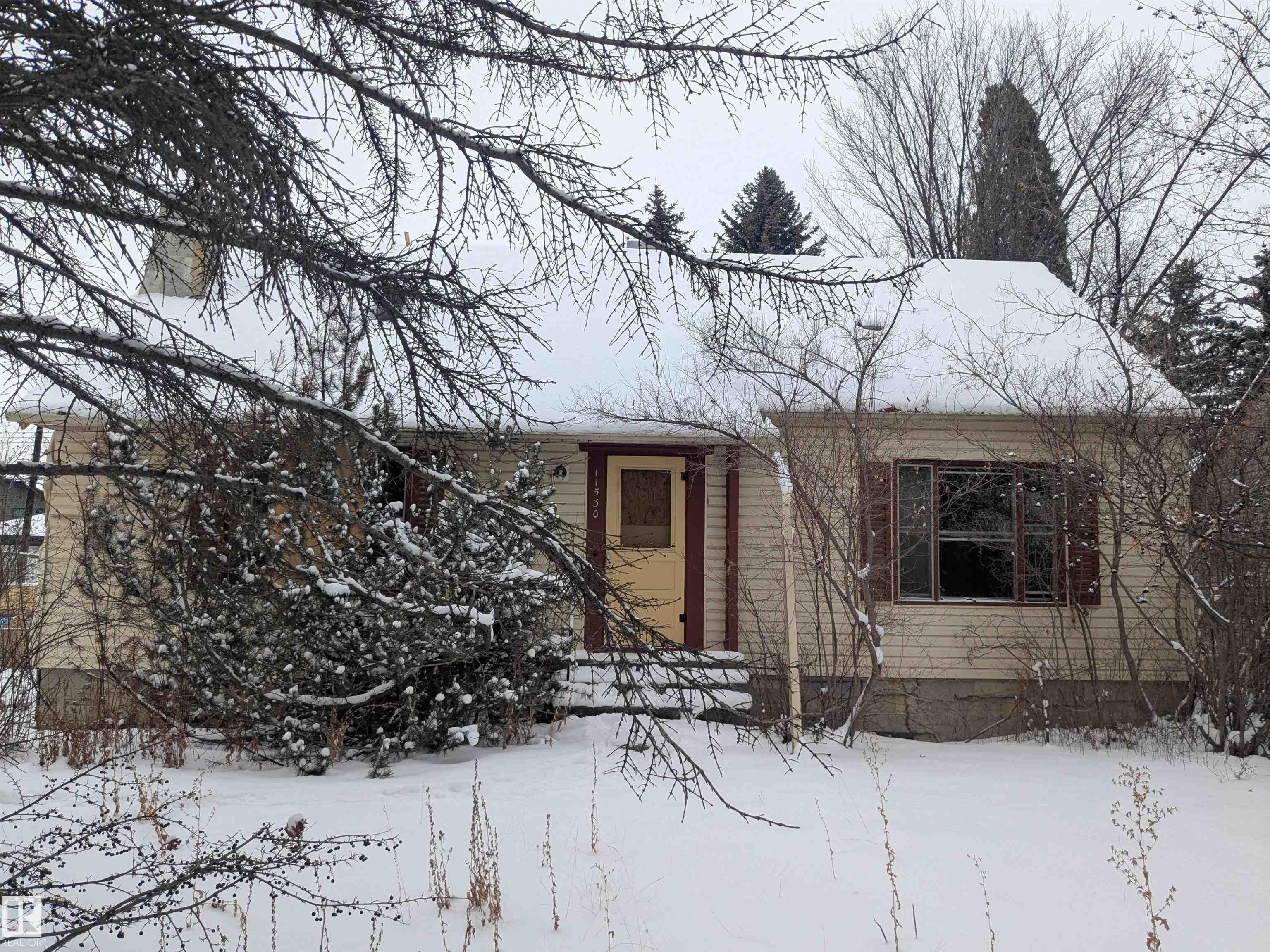 Edmonton Real Estate: Single Family Property for Sale in McKernan