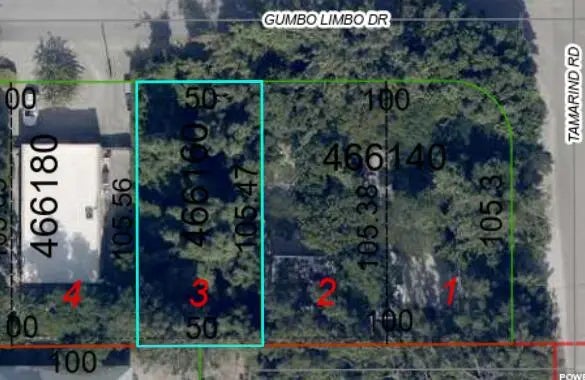 Gumbo Limbo Drive, KEY LARGO