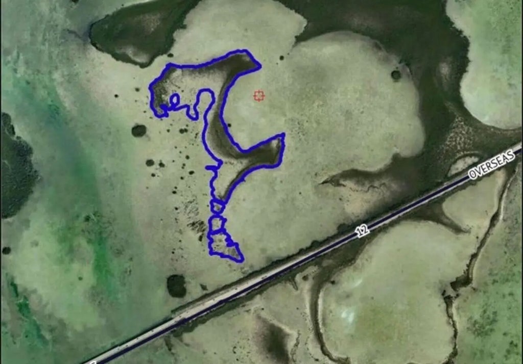 14 67 26 Saddlebunch Key, Saddle Bunch