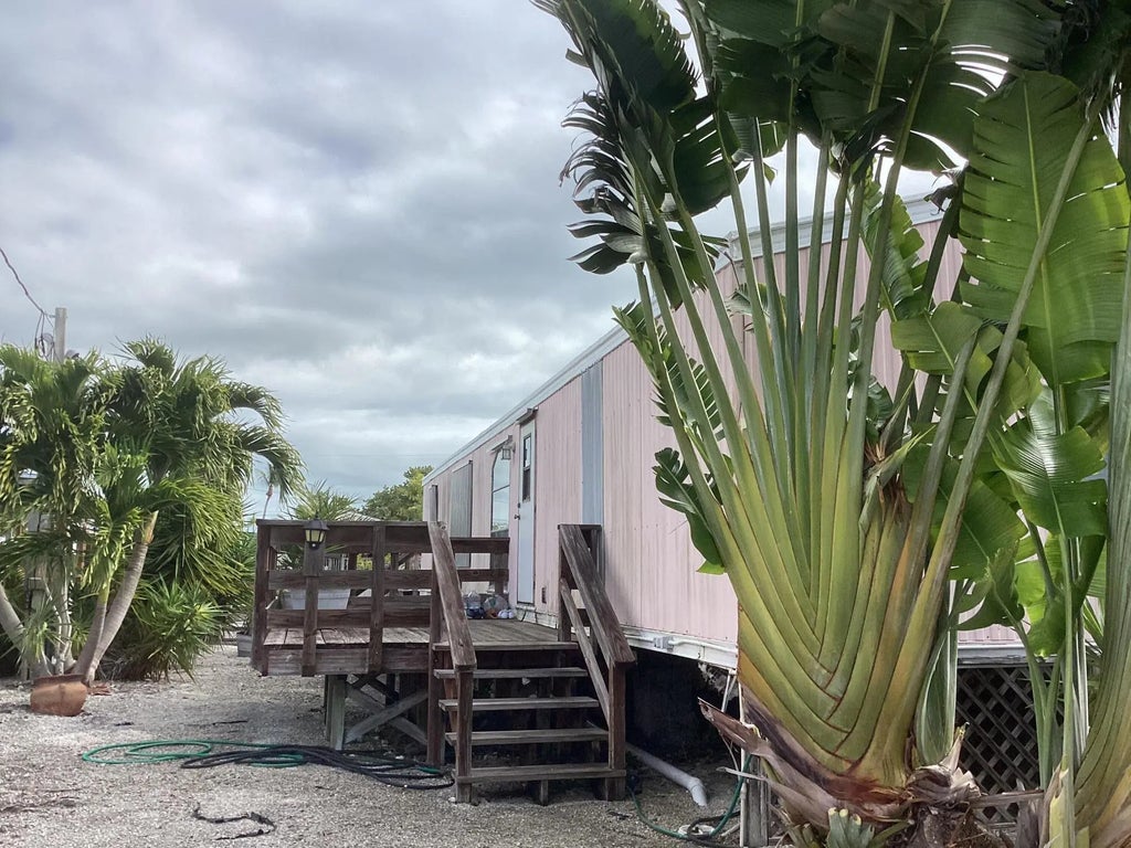 264 Mars Lane, Geiger