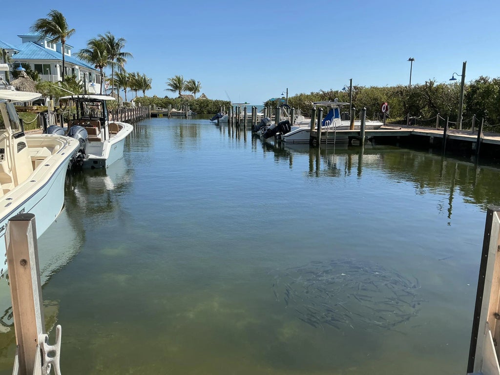 500 Burton Drive 1415, Tavernier