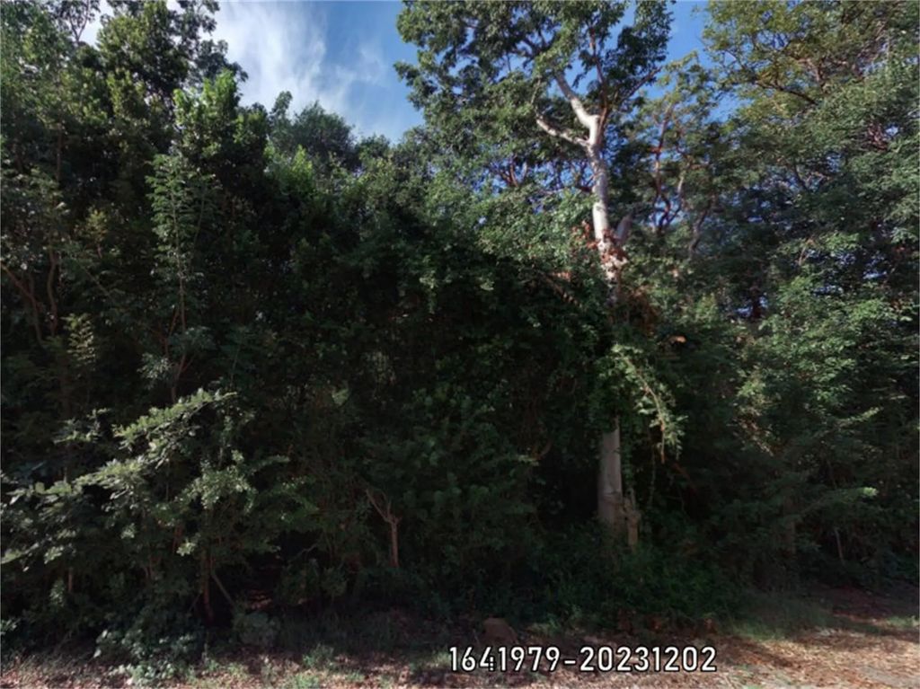 Poinsetta Drive, Key Largo
