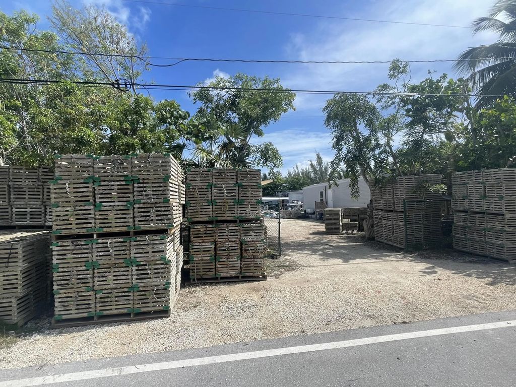 29517 Big Pine Street, Big Pine Key