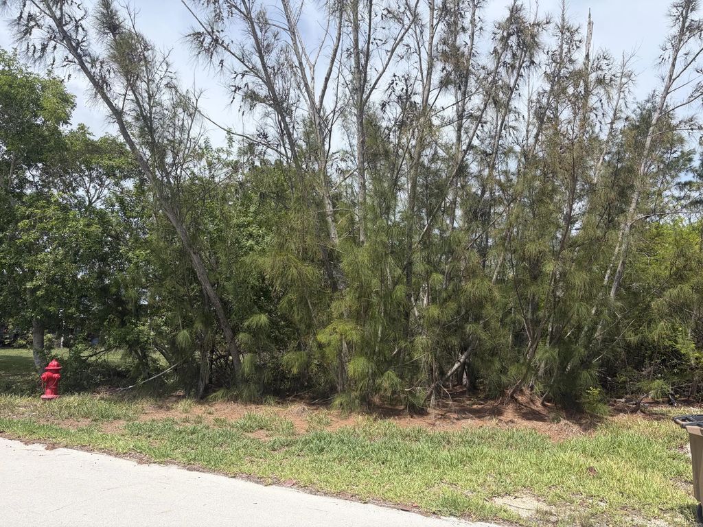 0 Lobstertail Road, Big Pine Key