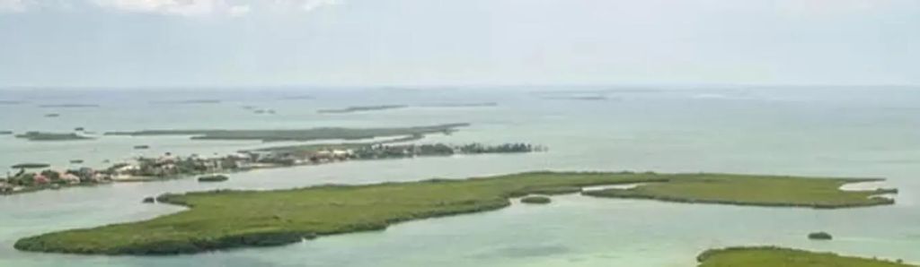 Oharas Key Street Gulf, Saddlebunch