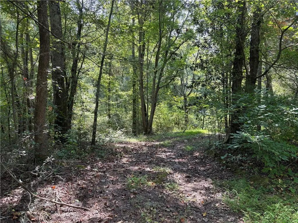6485 Forsyth Drive, Cumming