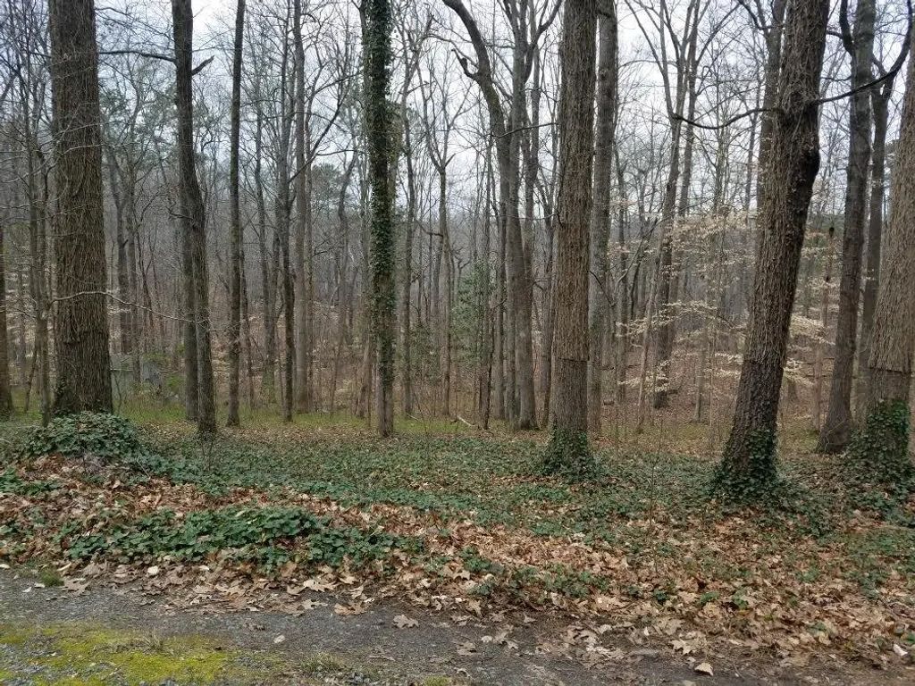4633 Post Oak Tritt Road, Marietta