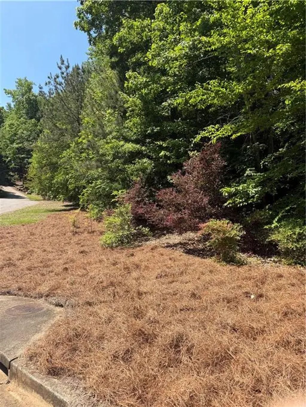 702 Windsor Estates Way, Canton