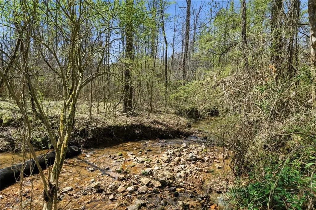 250 Sardis Circle, Canton