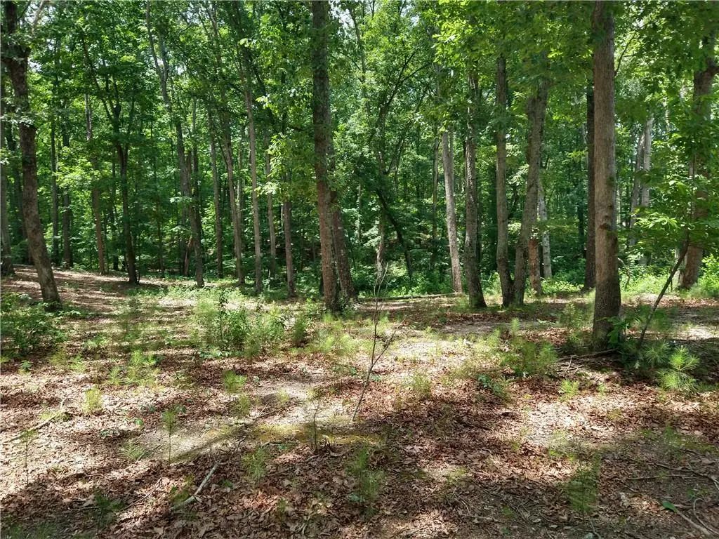 2112 Allgood Road, Marietta