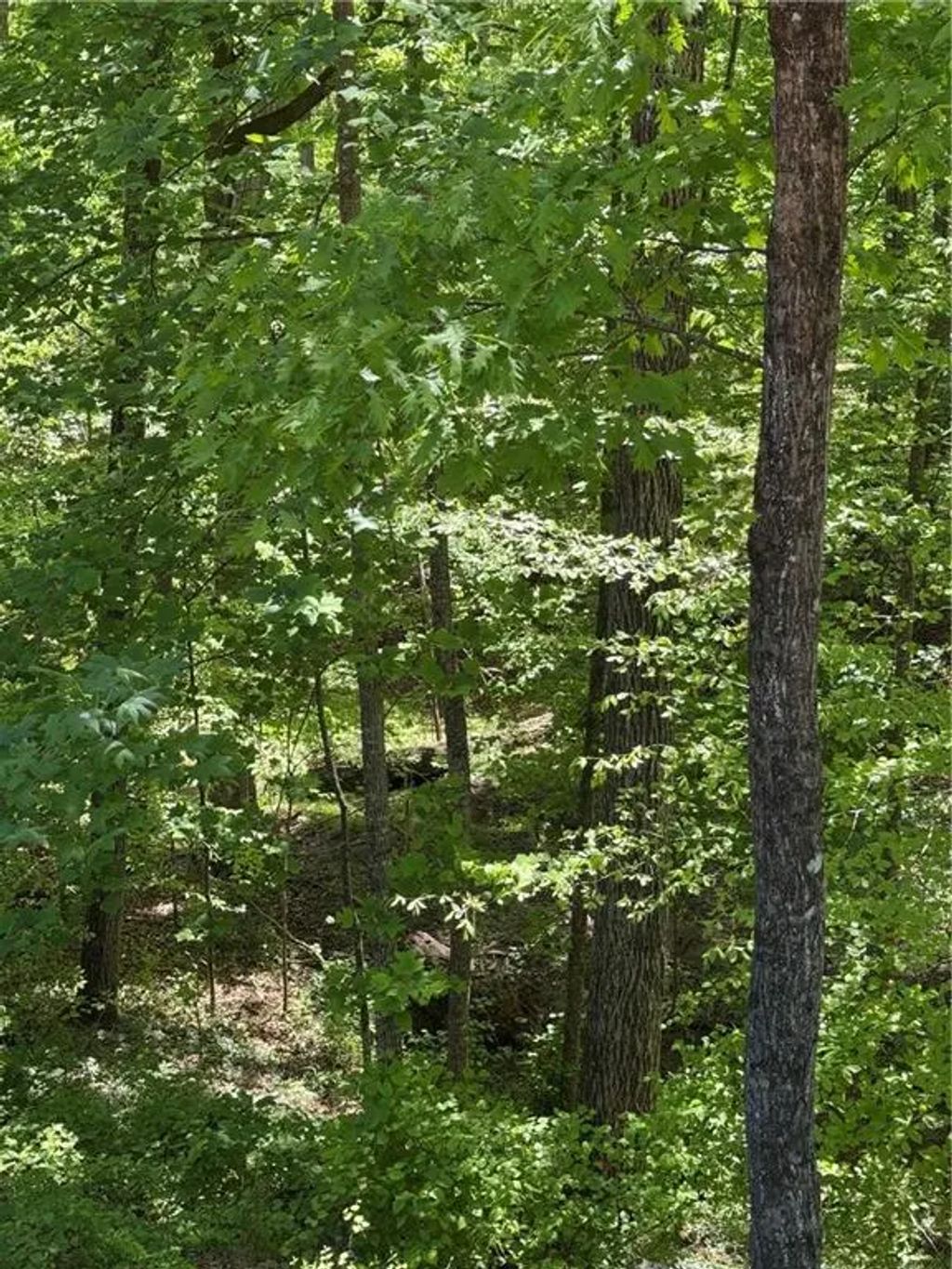 Clark Drive, Alpharetta