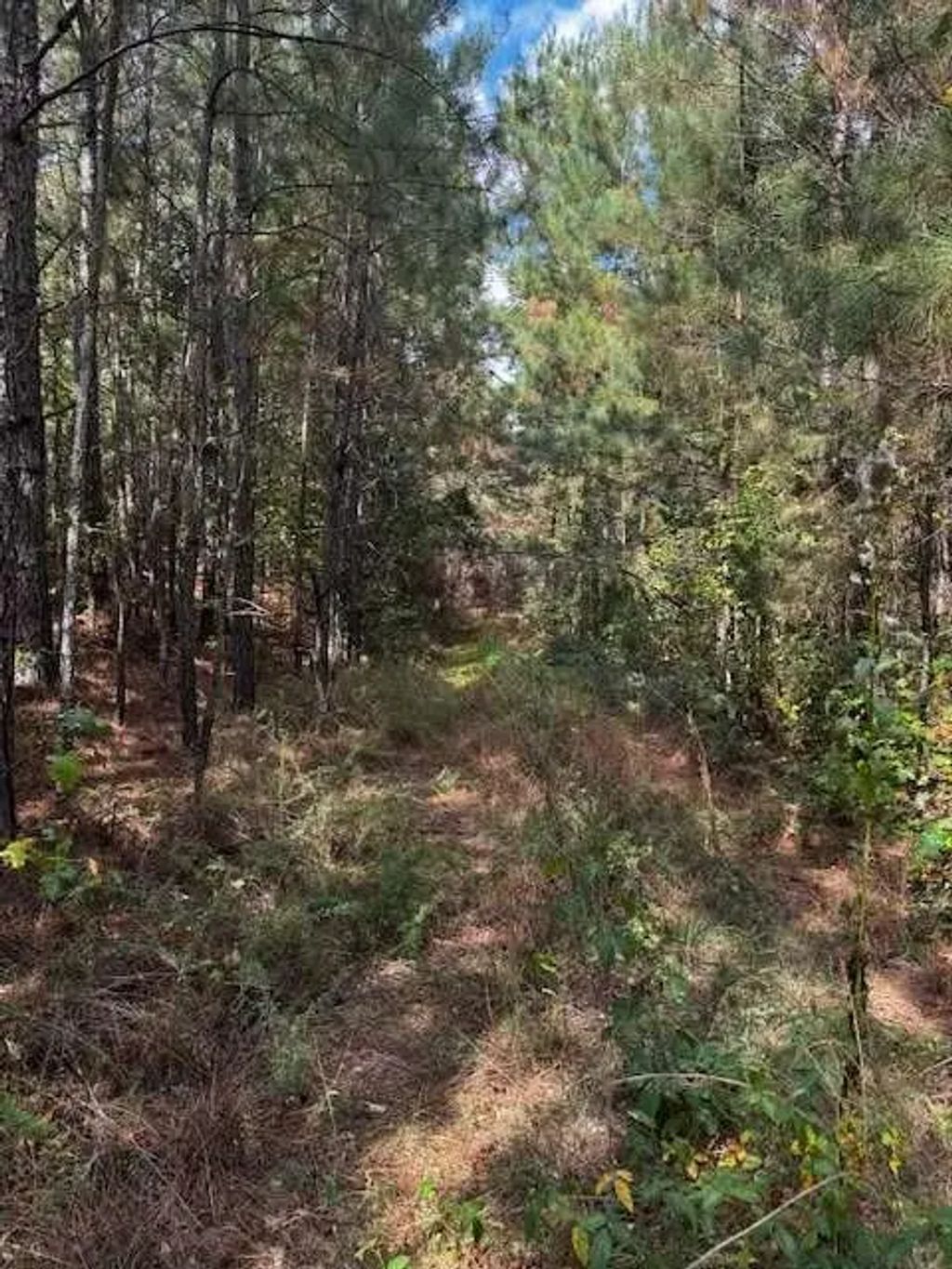 230 Dodgen Road, Hampton