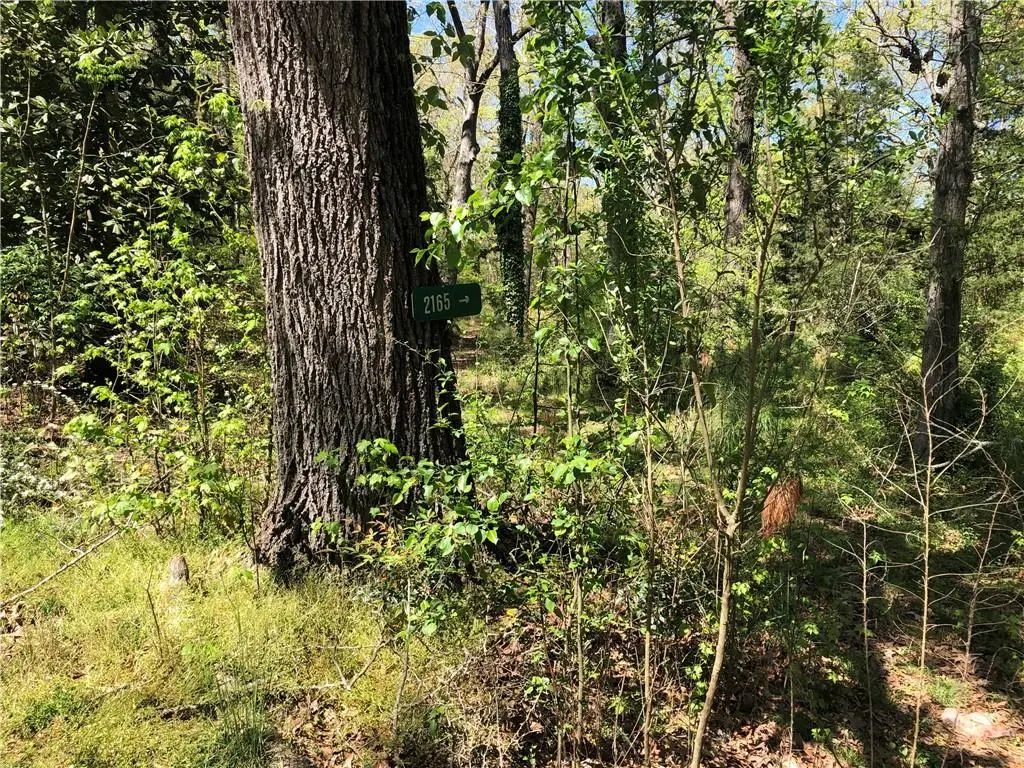 2165 Old Salem Road Se, Conyers