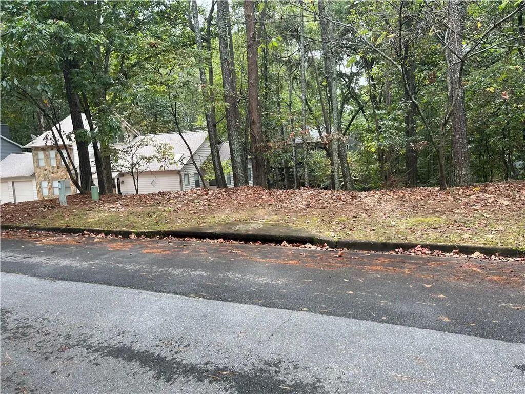 Spyglass Bluff Drive, Johns Creek