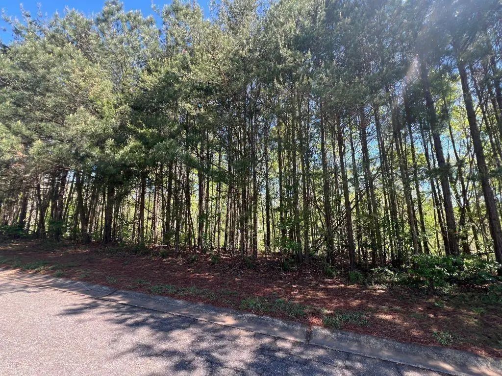 922 Whistler Lane, Canton