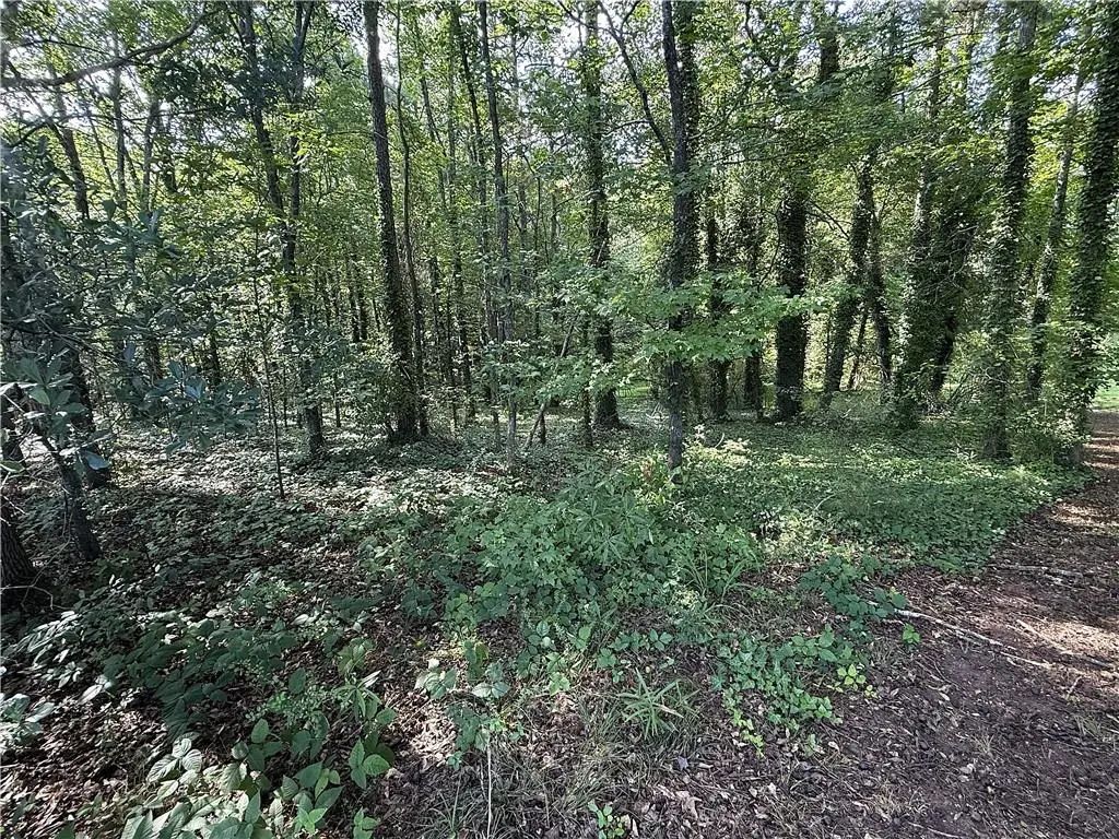 Boxer Lane, Cumming